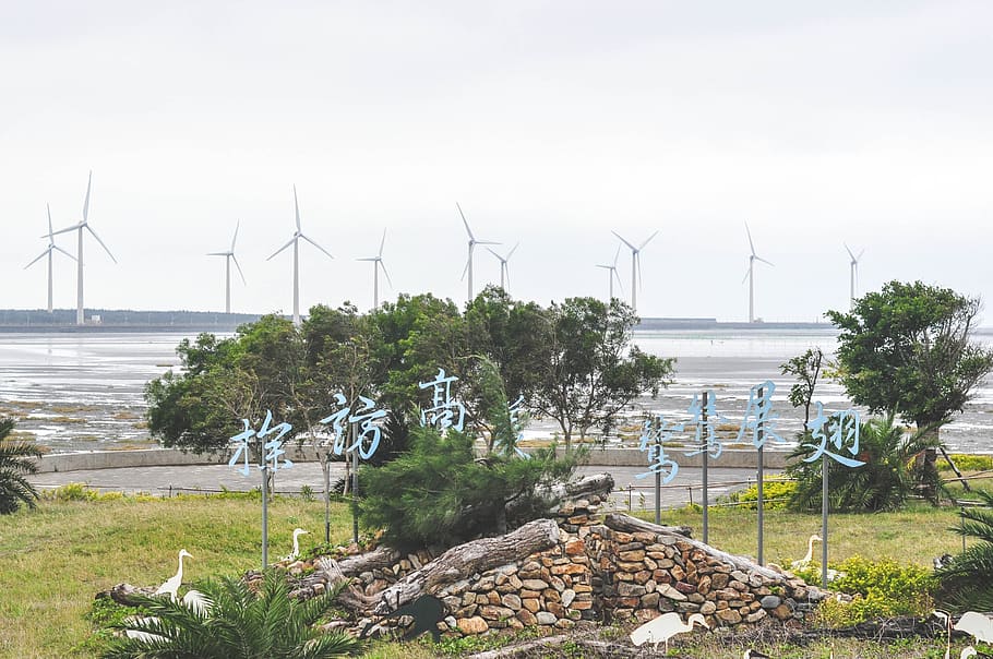 gaomei wetlands, taichung, taiwan, windmills, water, trees, grass, rocks, fuel and power generation, renewable energy