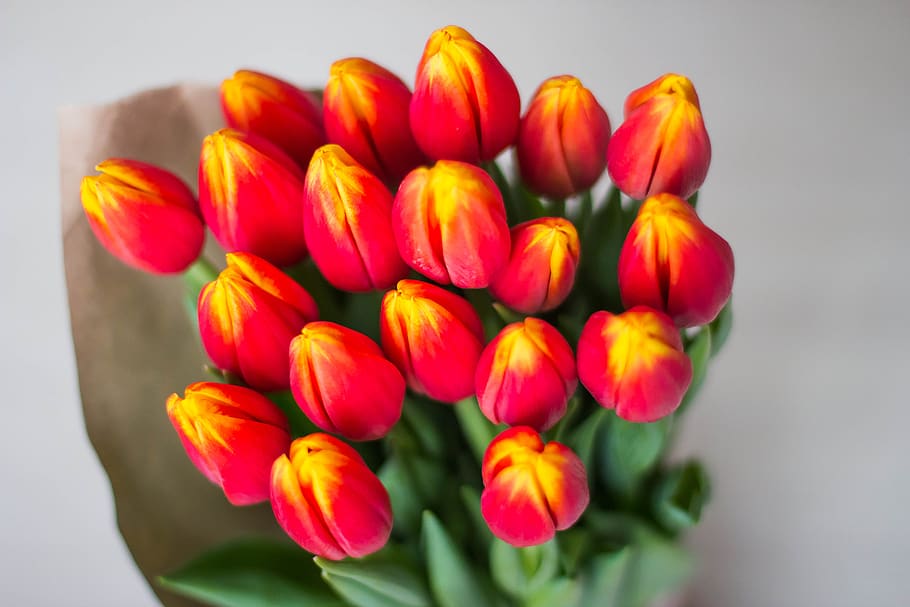 tulipanes, ramo, vacaciones de mujer, brillante, multicolor, amarillo, rojo, flores, hermosas, hermosas flores