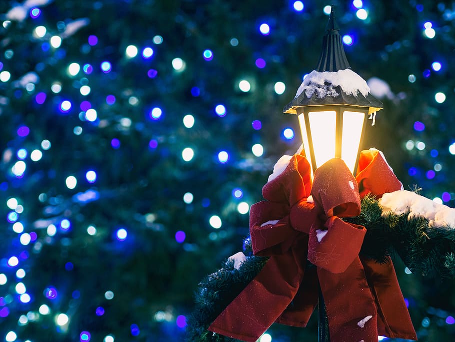 Navidad, luz, árbol, lámpara, cinta, bokeh, decoración, iluminado, celebracion, fiesta