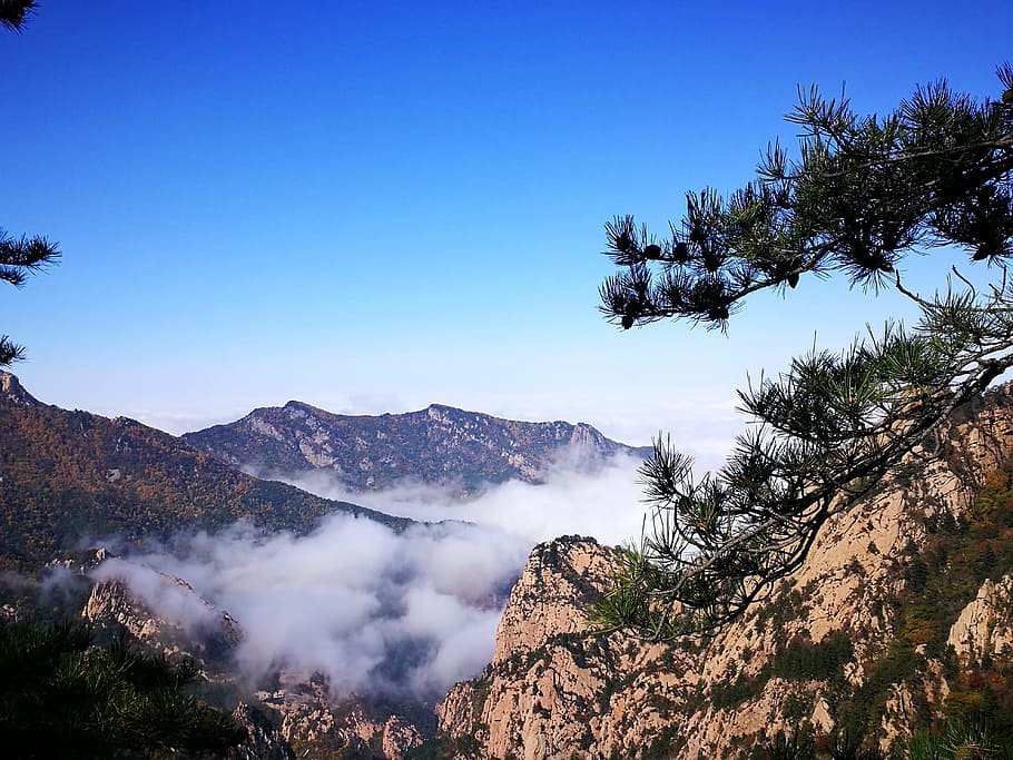wuling mountain, Wuling, Mountain, Clouds, in wuling mountain, pinus tabulaeformis, tree, pine tree, mountain range, scenics