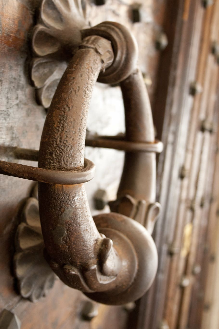 doorbell, door, bologna, old, close-up, metal, wood - material, focus on foreground, rusty, day