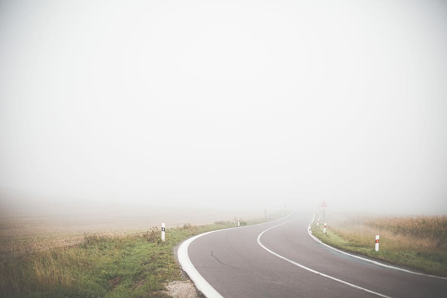孤独な霧の道, 孤独, 霧, 道路, フィールド, 朝, テキストのための部屋, 旅行, 高速道路, 自然