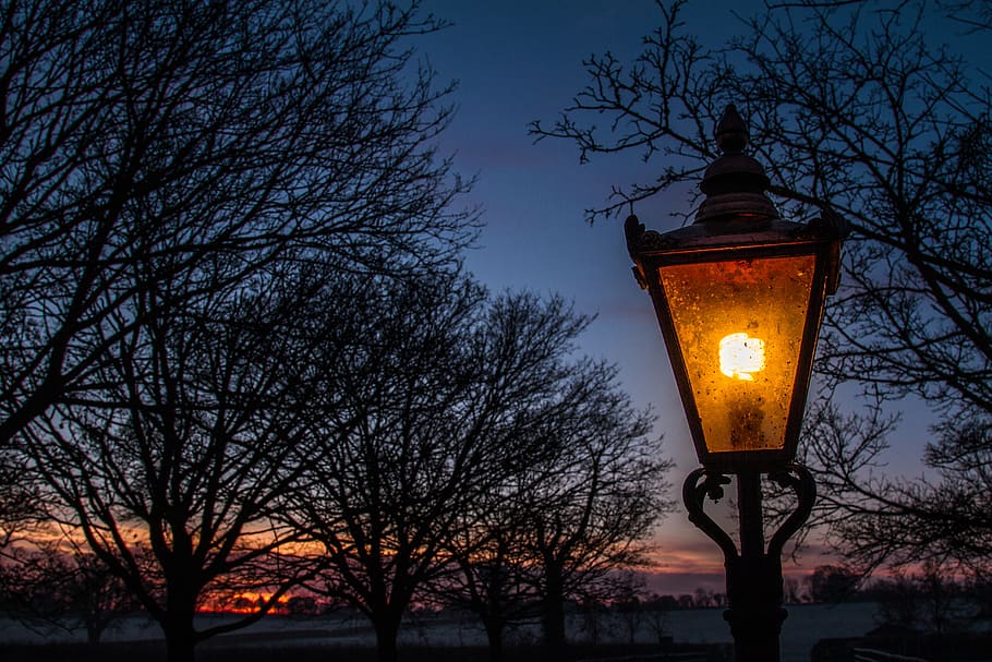 lamp, moody, wonderland, antique, lantern, night, lights, fog, dark, old