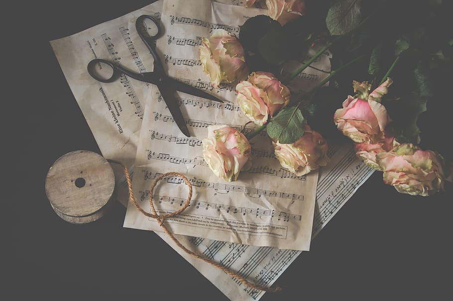 fotografía flay-lay, blanco, rosa, rouse, bouquet, al lado, tijeras, rosas, bodegón, flor rosa