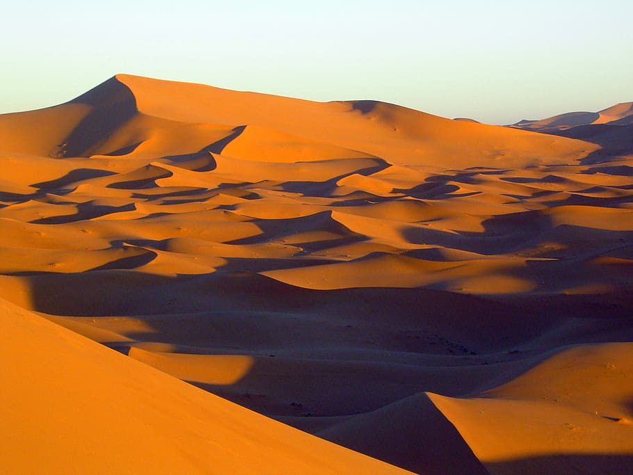 モロッコ, CMS, CC BY, 昼間の茶色の砂漠, 砂丘, 砂漠, 砂, 風景, 静かな風景, 風景-自然