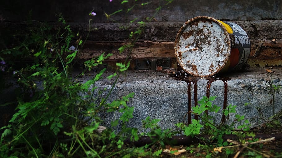 painting, decommissioned, pot, nature, plant, metal, day, abandoned, rusty, old