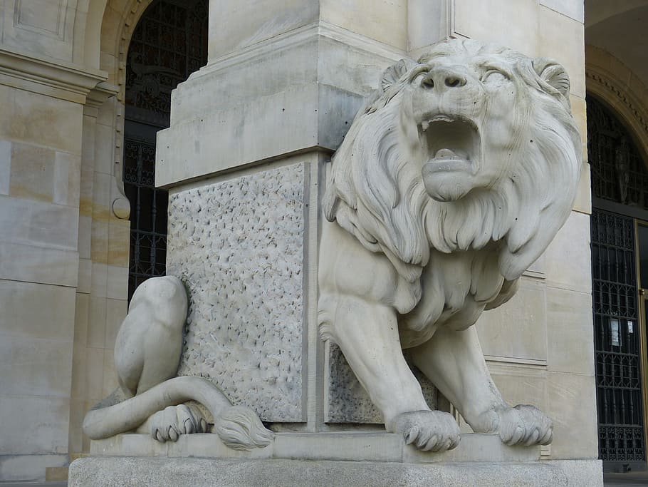 Lion, Sculpture, Statue, Stone, Hanover, lion, sculpture, town hall, new town hall, places of interest, mane