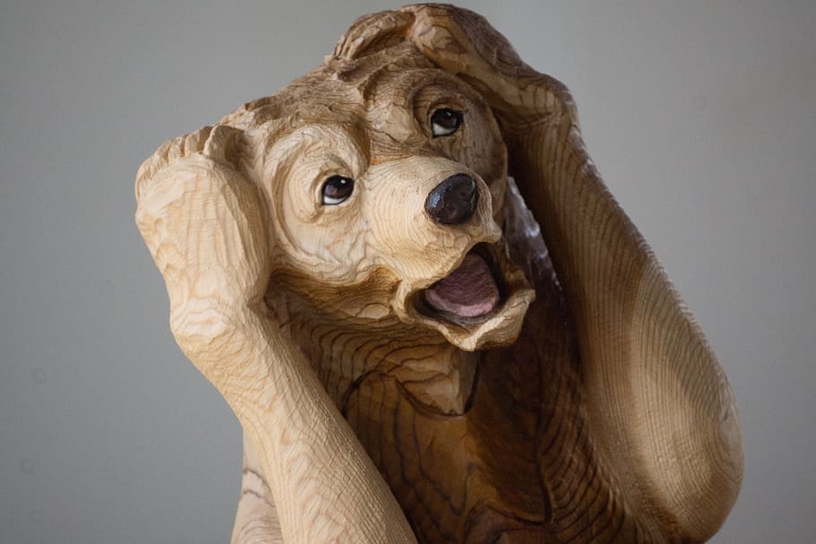 urso, confuso, dificuldade, mascote, ansiedade, escultura em madeira, um animal, mamífero, fundo cinza, cinza