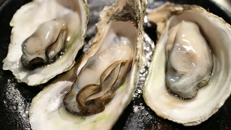 three, oysters, oyster, shell, clams, dry bay, seafood, sea products, barbecue, food