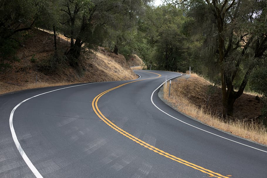 curved, concrete, road, surrounded, trees, winding road, travel, curved road, curvy road, trip