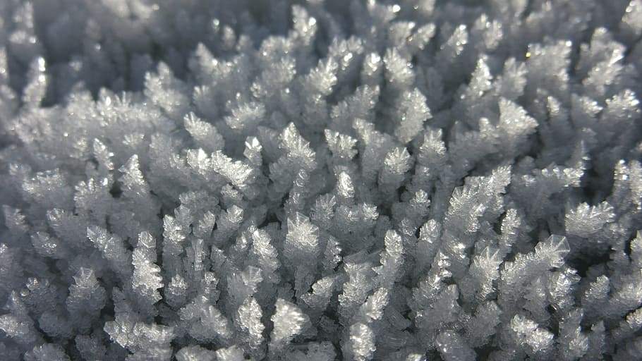 eiskristalle, hielo, escarcha, frío, invierno, cristales, muchos, pequeños, patrón, fotograma completo