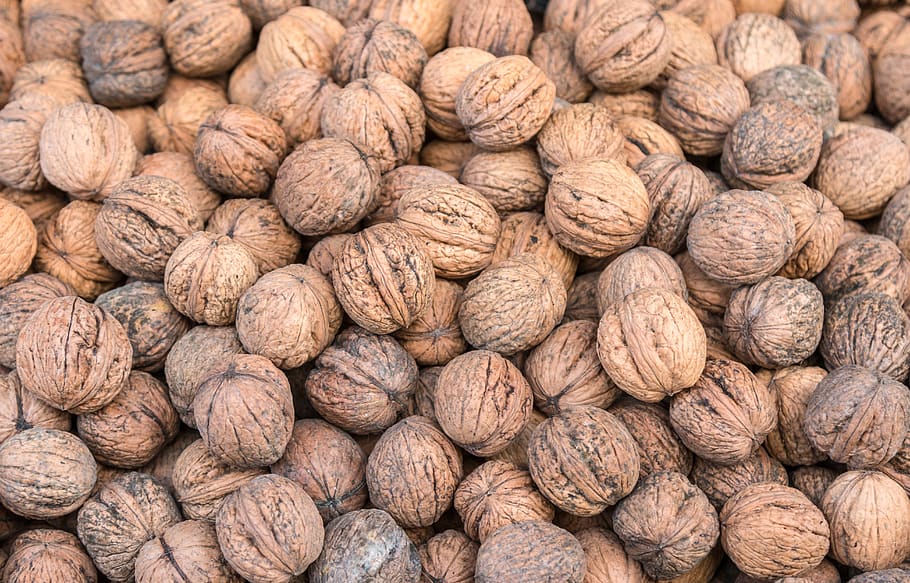 walnut, many, healthy, tasty, food, fruit, nutrition, delicious, market, fresh