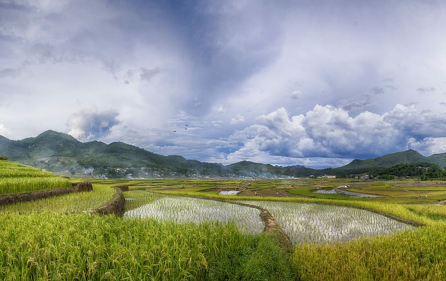 Vietnam, Landscape, dienbien, nature, field, scenics, cloud - sky, mountain, environment, scenics - nature