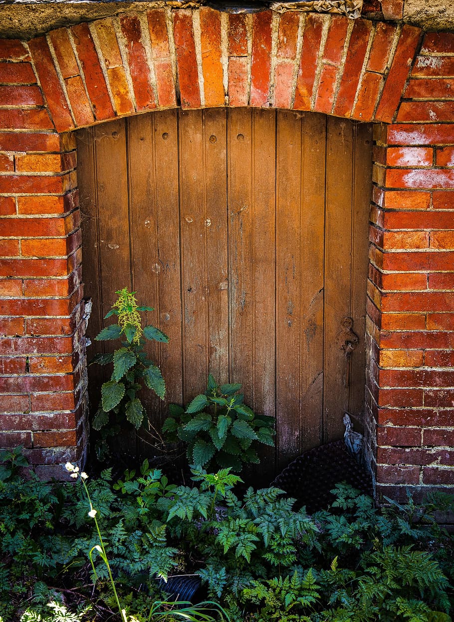 door, plant, bricks, red, spain, pyrénées, architecture, wood - material, built structure, brick