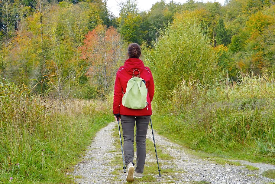 woman, wearing, red, hoodie, walking, pathway, forest, girl, walken, go for a walk