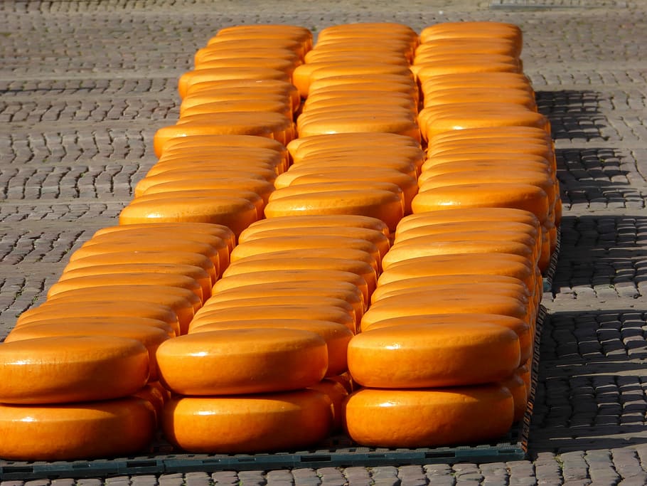 Alkmaar, Cheese Market, Gouda, queijo, amarelo, pesar, comércio, pão, em uma fileira, comida e bebida