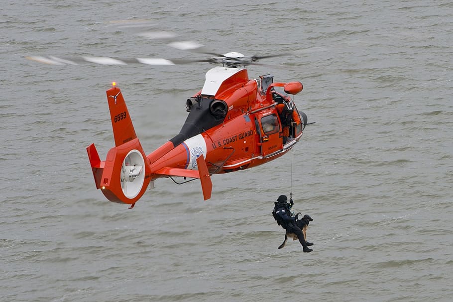 man, hanging, rope, saving, dog, red, black, helicopter, coast guard training, mission