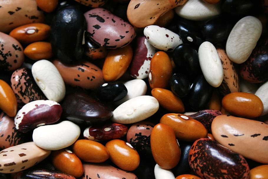 bunch of seeds, beans, legume, food, proteins, vegetable, brown bean, uncooked, dried beans, large group of objects