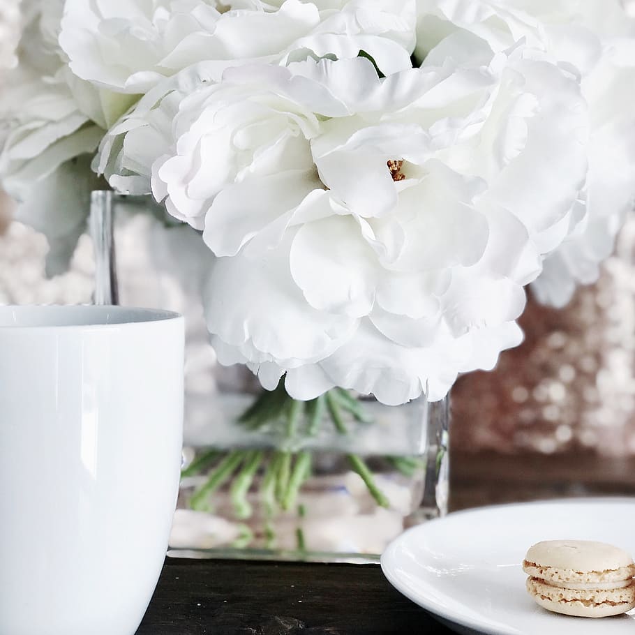 coffe mug, white flowers, macaron, flower, flowering plant, plant, freshness, table, beauty in nature, close-up