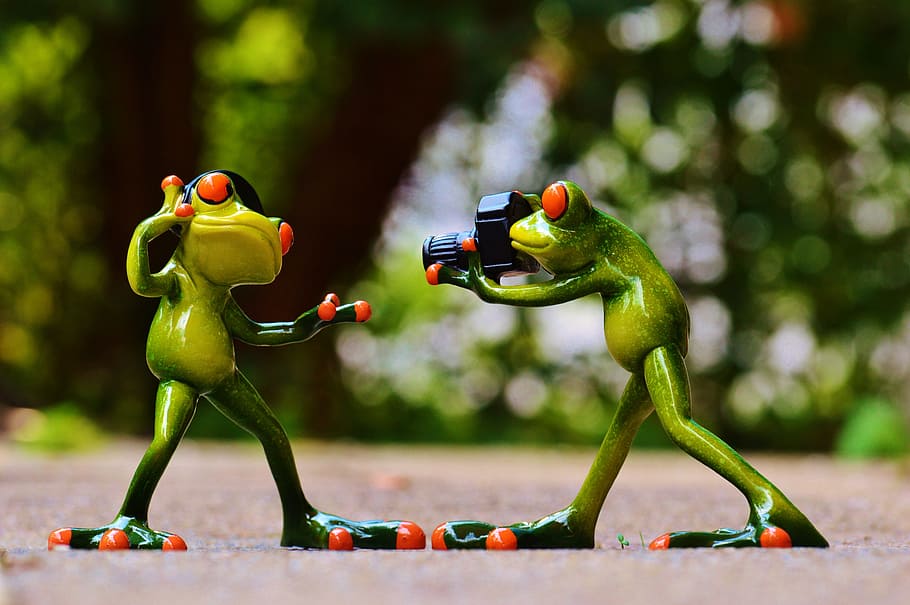 two, green, frogs, standing, beige, surface, daytime, headphones, music, dance