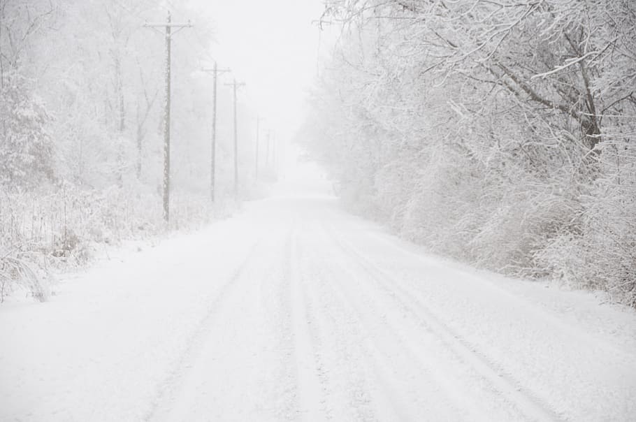 木, 覆われた, 雪, 道路, 冬, 背景, 田舎, 滑りやすい, 降雪, 寒さ
