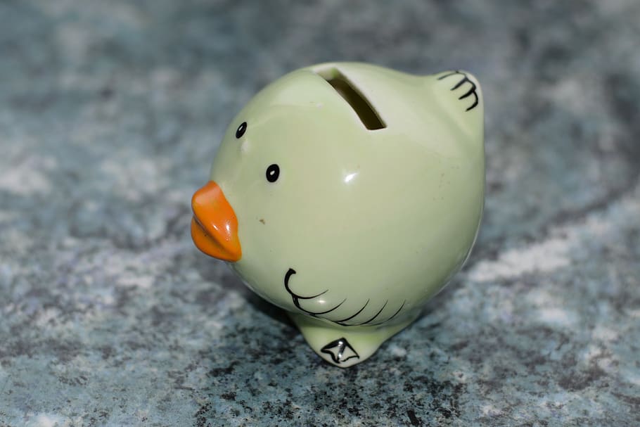 piggy bank, money, save, finance, bird, deco, ceramic, animal representation, close-up, single object