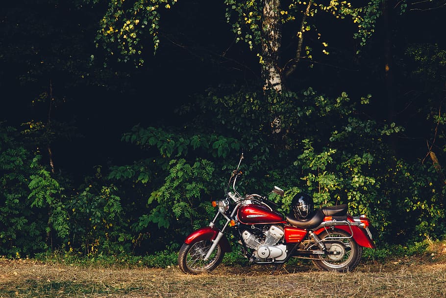 red, cruiser motorcycle, parked, green, leafed, trees, white, touring, motorcycle, brown