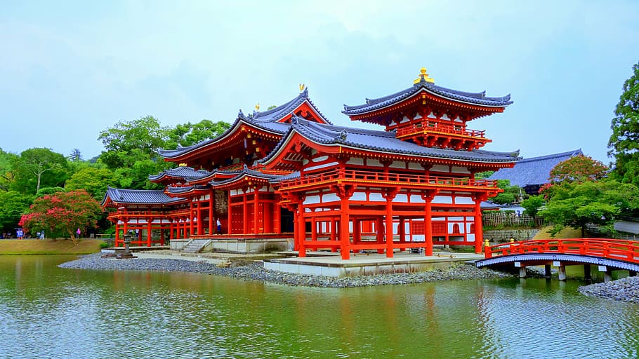 kyoto, byodoin temple, temples and shrines, phoenix, built structure, architecture, water, tree, plant, religion