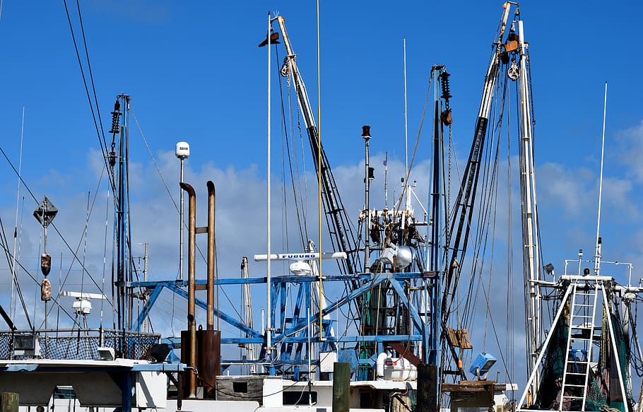 commercial fishing nets, shrimp nets, fish, business, fishing, industry, boat, sea, water, ocean