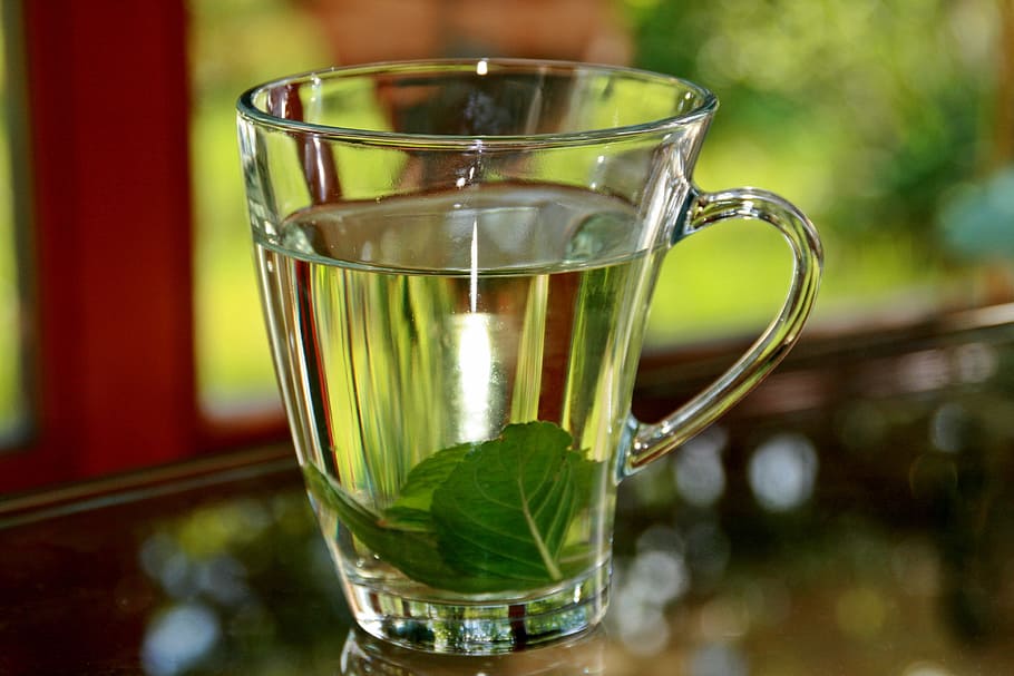 clear, glass mug, filled, liquid, peppermint tea, tee, mint tea, peppermint, hot, cup