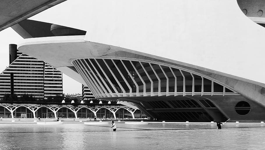 valencia, black and white, architecture, calatrava, landscaping, water, urban context, architecture organic, city ​​arts and sciences, structure