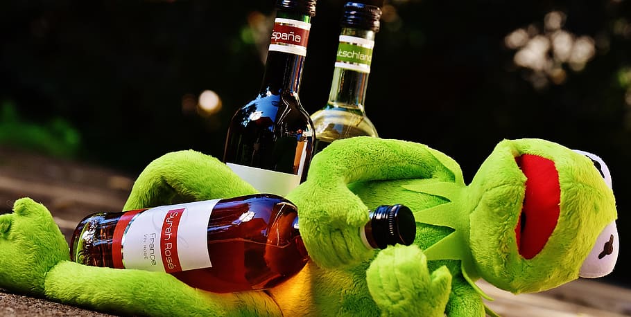 kermit, frog, wine, drink, alcohol, drunk, rest, sit, figure, funny
