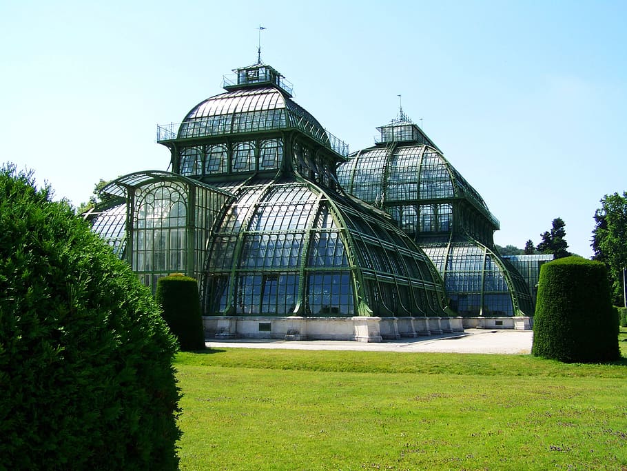 Palm House, Schönbrunn, Vienna, palm house, schönbrunn, greenhouse, green Color, architecture, built Structure, glass - Material, nature