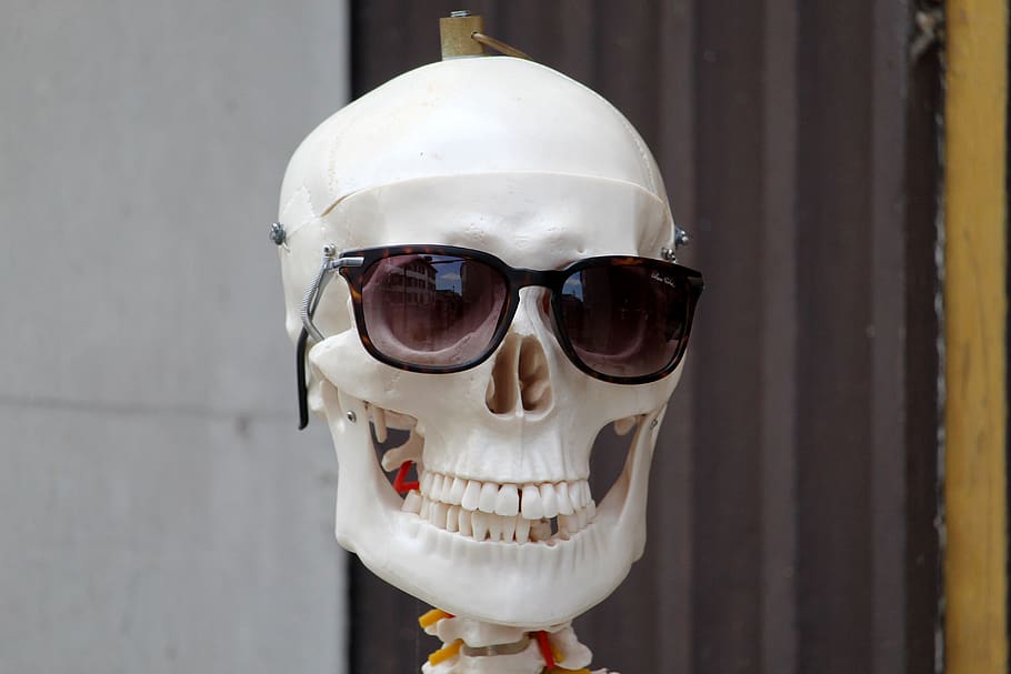 cráneo y tibias cruzadas, esqueleto, decoración, cráneo, horror, extraño, humor negro, gafas de sol, basilea, primer plano