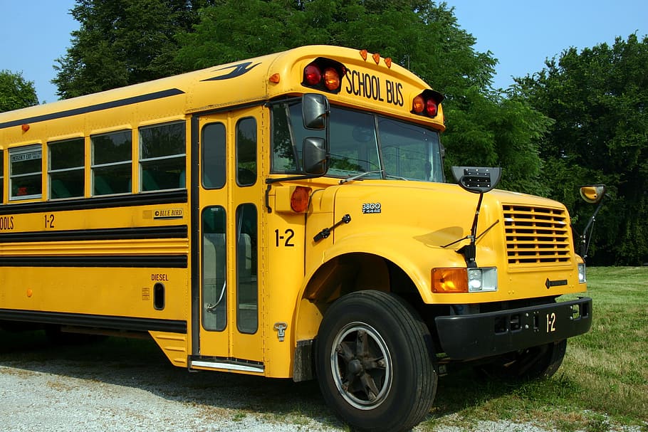 yellow, school bus, grass field, bus, vehicle, transportation, schoolbus, mode of transportation, land vehicle, day