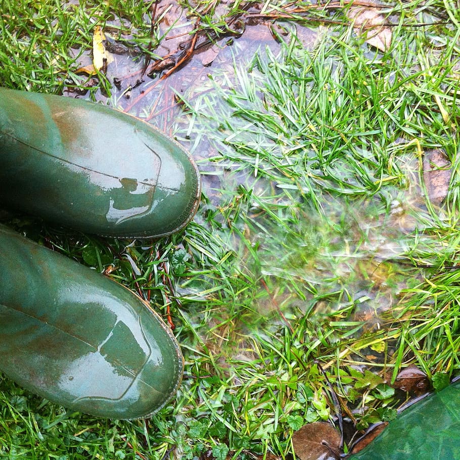 sepatu karet, hujan, musim gugur, sepatu bot, basah, keluar, alam, tanaman, warna hijau, pertumbuhan