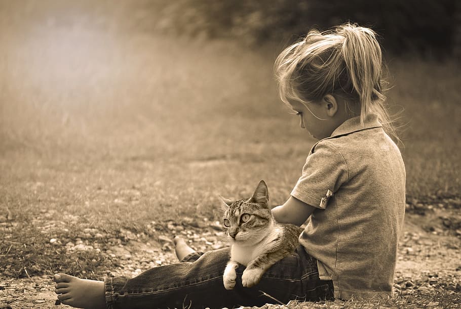 grayscale photo, girl, cat, child, play, happy, kids, childhood, joy, summer