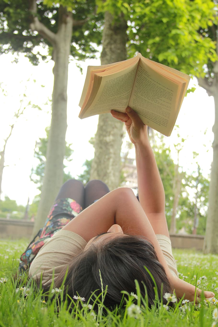 mujer, libro de lectura de campo de hierba, al lado, verde, árbol, Acostado, hembra, gente, mujer joven, lectura