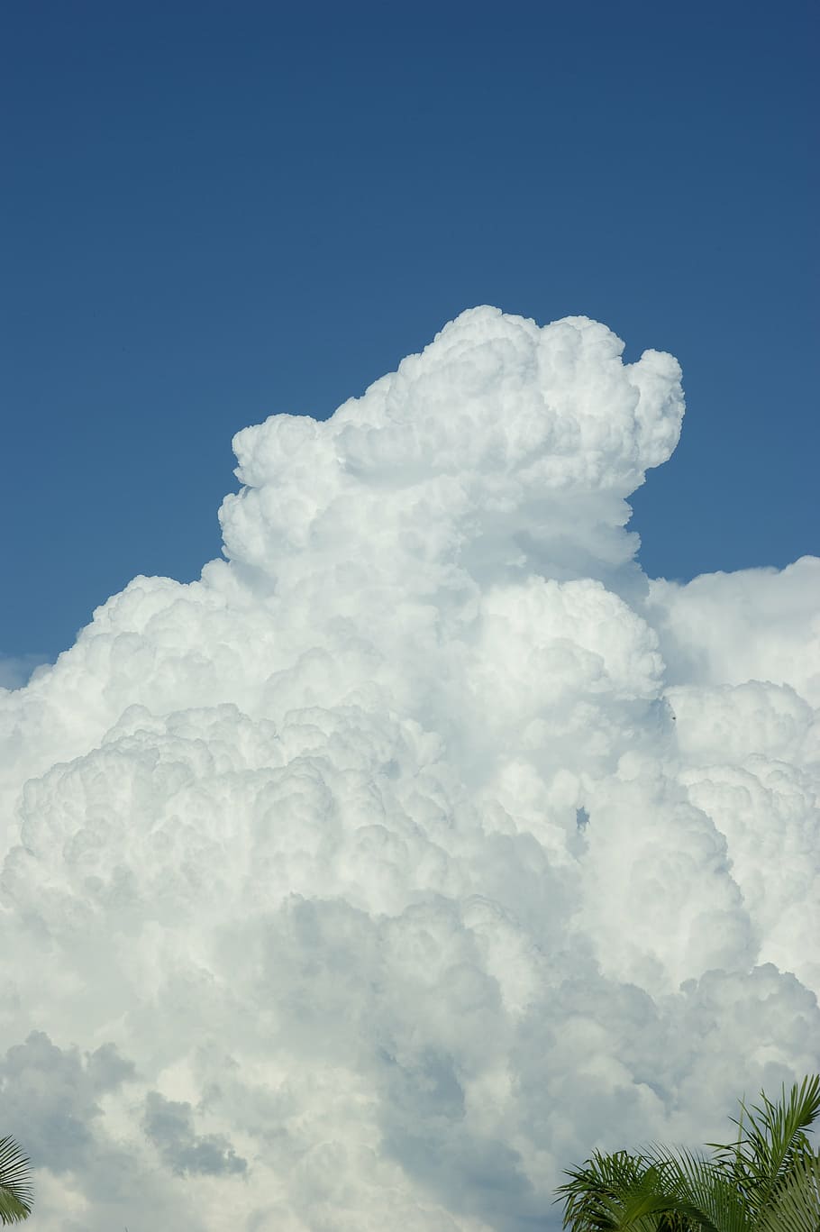cloud, thunderhead, fluffy, large, white, cumulo nimbus, storm, bright, thunderstorm, rainstorm