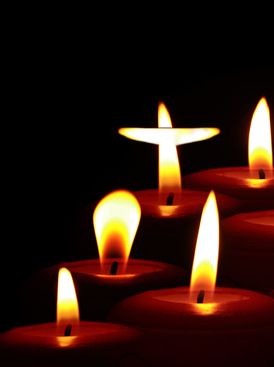 several lit candles, Advent, Candles, Advent Calendar, advent, candles, atmosphere, december, celebration, holidays, joy