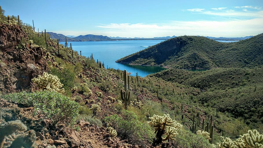 arizona, desert, lake, landscape, nature, desert landscape, arizona desert, southwestern, park, lake pleasant