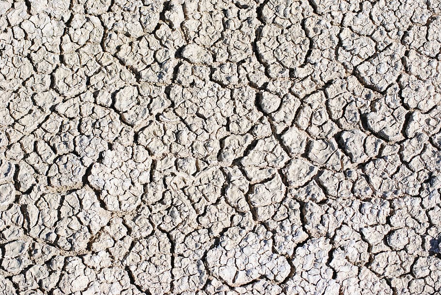 ひびの入った土壌, アフリカ, ナミビア, エトーシャ, 乾燥した, 地球, エトーシャパン, 干ばつ, ひび割れ, 乾燥した気候