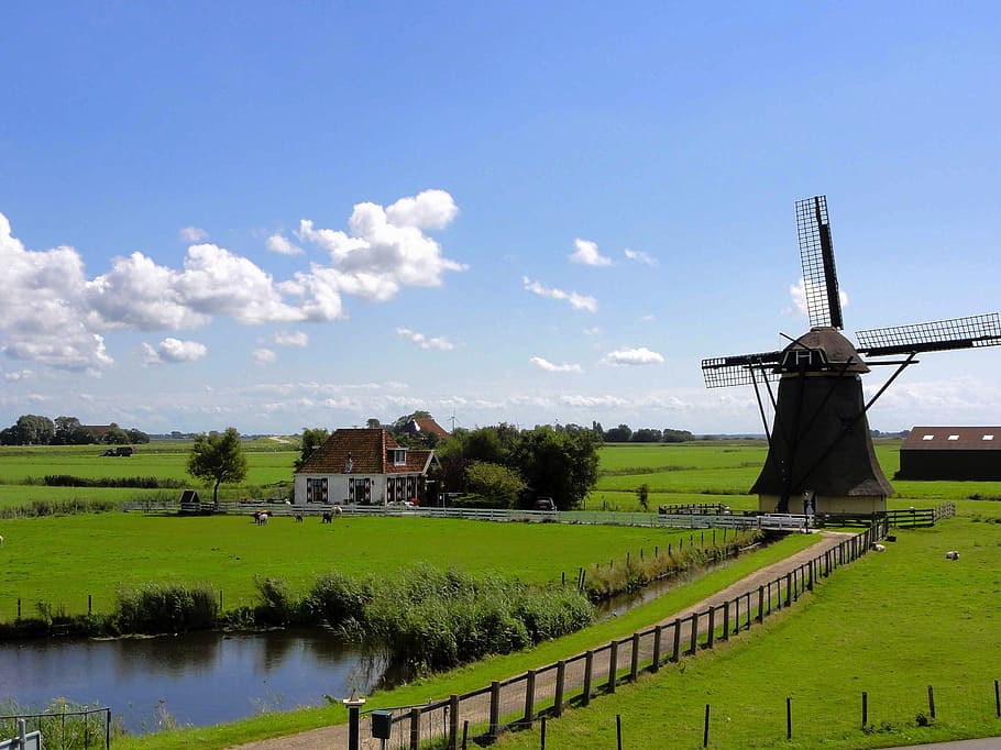 風車, 家, 草の芝生, 青, 白, 曇り, 空, オランダ, 風景, 雲