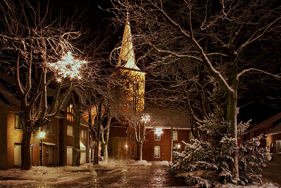 fotografi pemandangan, pohon, natal, gereja, malam, kedatangan, malam natal, waktu natal, iman, musim dingin