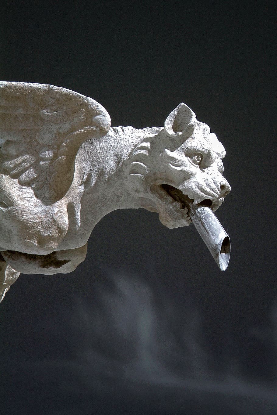Gargoyle, Carved, Stone, Grotesque, carved, stone, carving, gothic, statue, monster, architecture