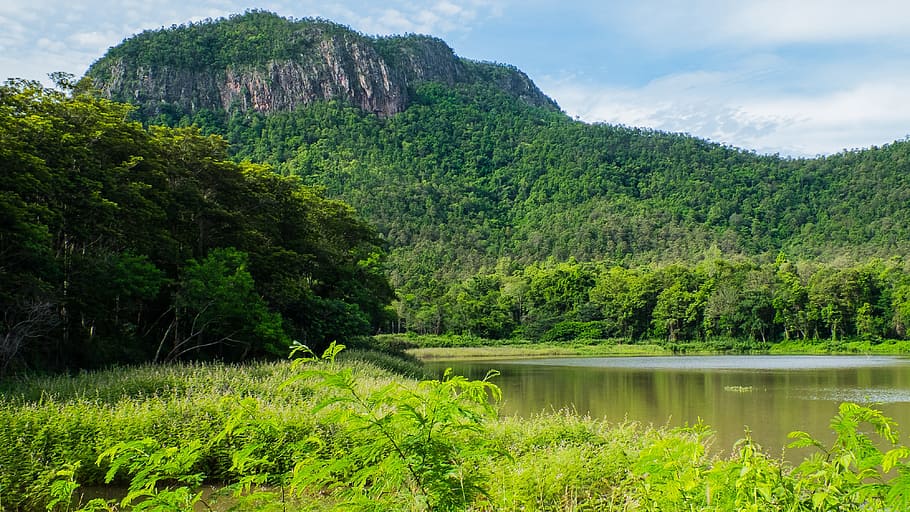 Paisaje, montañas, lago, norte de Tailandia, naturaleza, color verde, pintoresco, al aire libre, agua, bosque