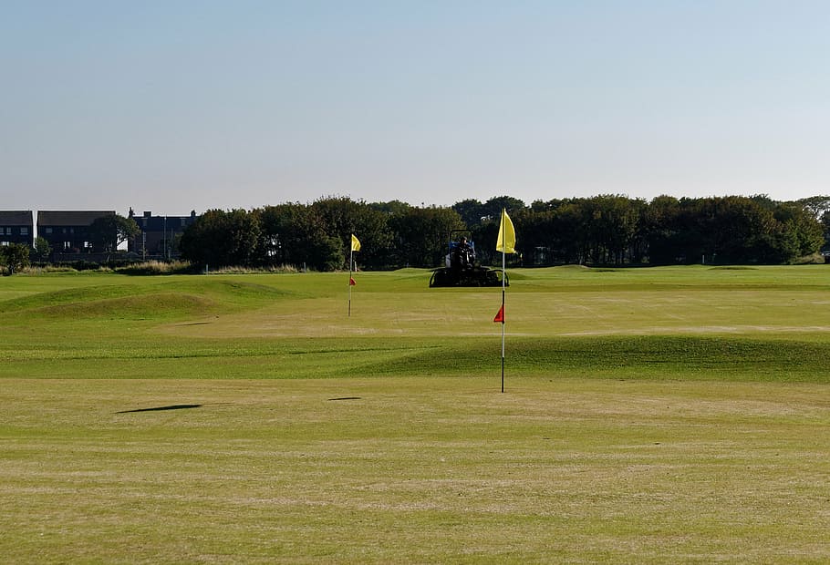 green golf course, golf flags, green, golf, course, flag, sport, grass, hole, landscape