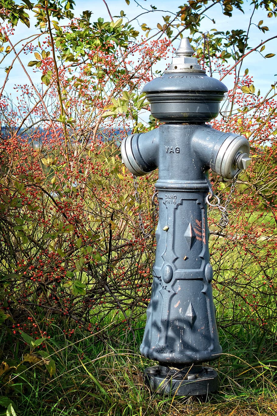 Hydrant, Water, Distribution, water, distribution, water hydrant, fire fighting water, water utilities, water abstraction, connection, distributor
