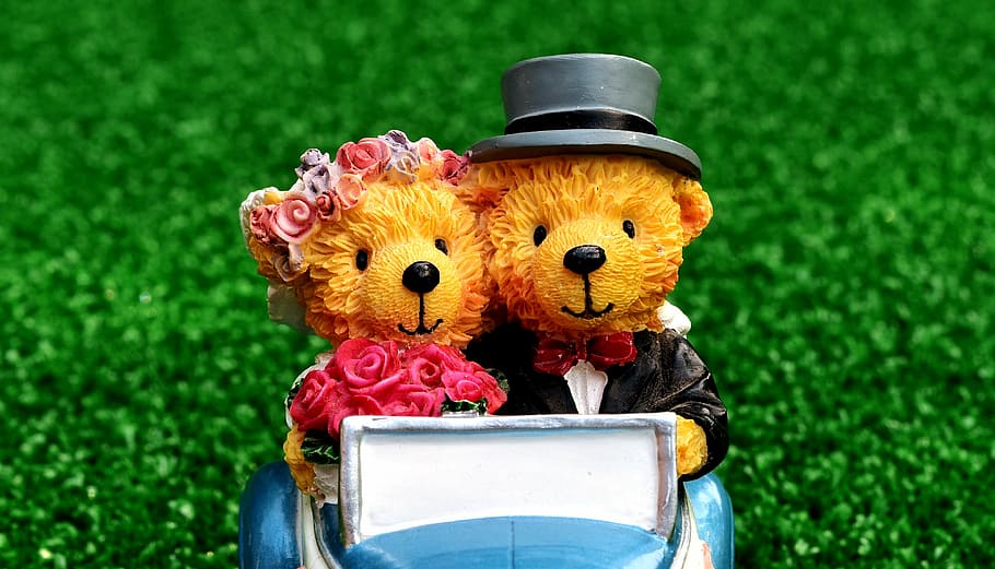 close-up photography, two, bear, figurines, blue, toy car, bride and groom, wedding, auto, marry