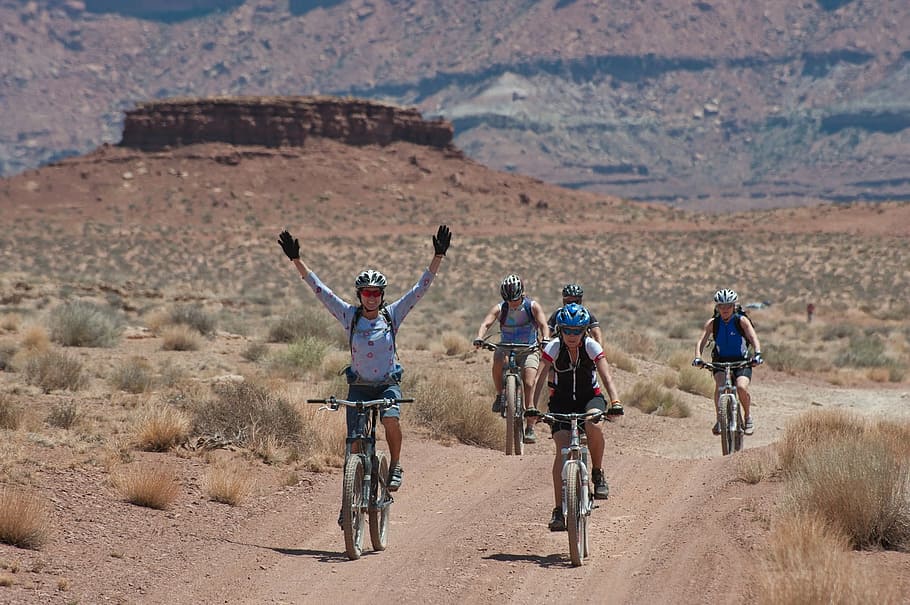 grupo, ciclistas, durante el día, ciclismo, equitación, bicicleta, actividad, parque nacional canyonlands, utah, casco